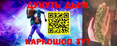индика Бердск
