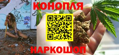 индика Бердск