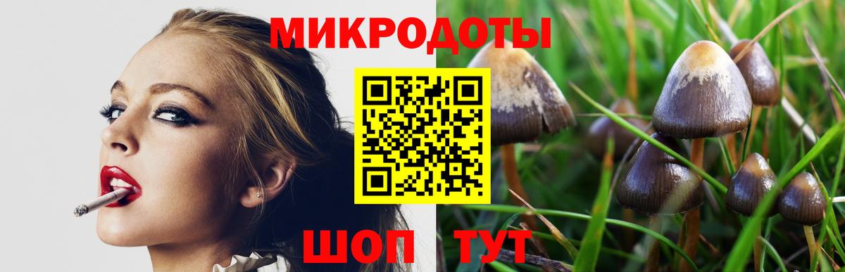 Галлюциногенные грибы MAGIC MUSHROOMS Октябрьский